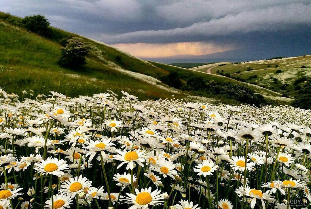 عکس تابستان زیبا