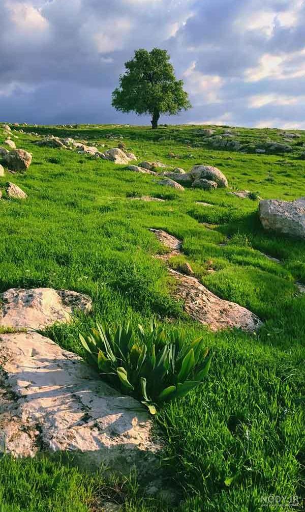 عکس تابستان زیبا