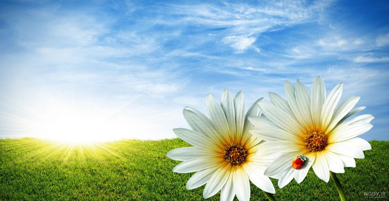  عکس تابستان واقعی