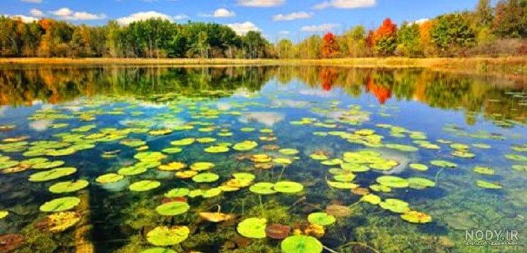 عکس تابستان زیبا