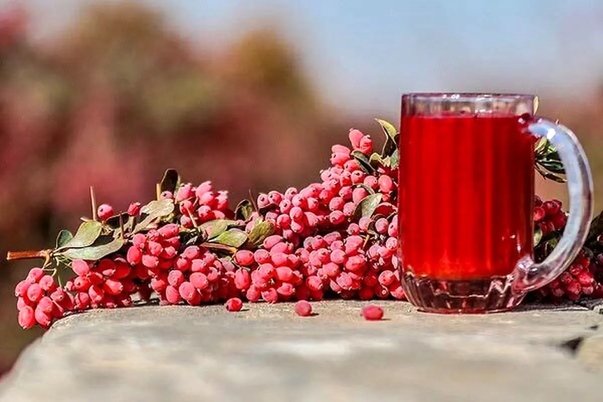 18 خواص زرشک برای انسان: (از خاصیت و فواید زرشک بیشتر بدانید) | نهالستان  آریا نهال