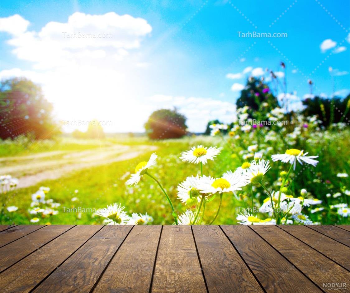 تصویر زمینه طلوع زیبای خورشید در فصل بهار با کیفیت 4K تصویر زمینه طلوع زیبای خورشید در فصل بهار با کیفیت 4K