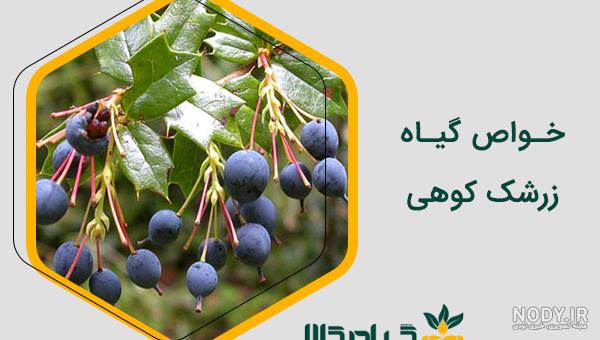 تن را مپوشانید از باد بهار
