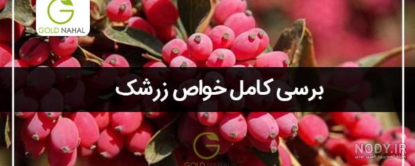 خرید و قیمت زرشک سیاه (زرشک کوهی) | ترب