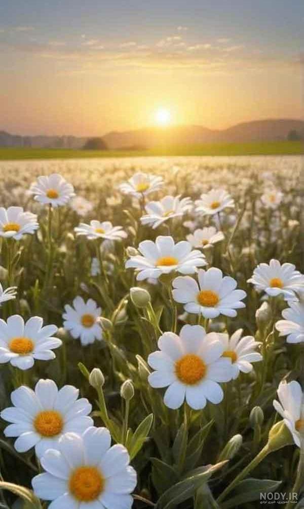 💝💝دنیایی فقط واسه دخترا💝💝 💝💝دنیایی فقط واسه دخترا💝💝