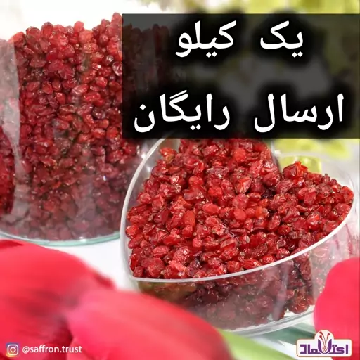 زرشک پفکی ( یک کیلو ) - نارگون ریزه
