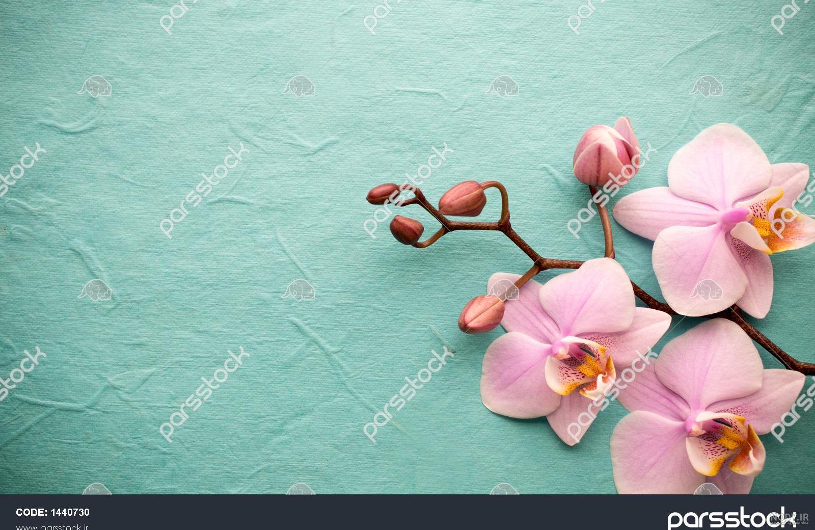 عکس آبی پاستیلی - عکس نودی عکس آبی پاستیلی - عکس نودی