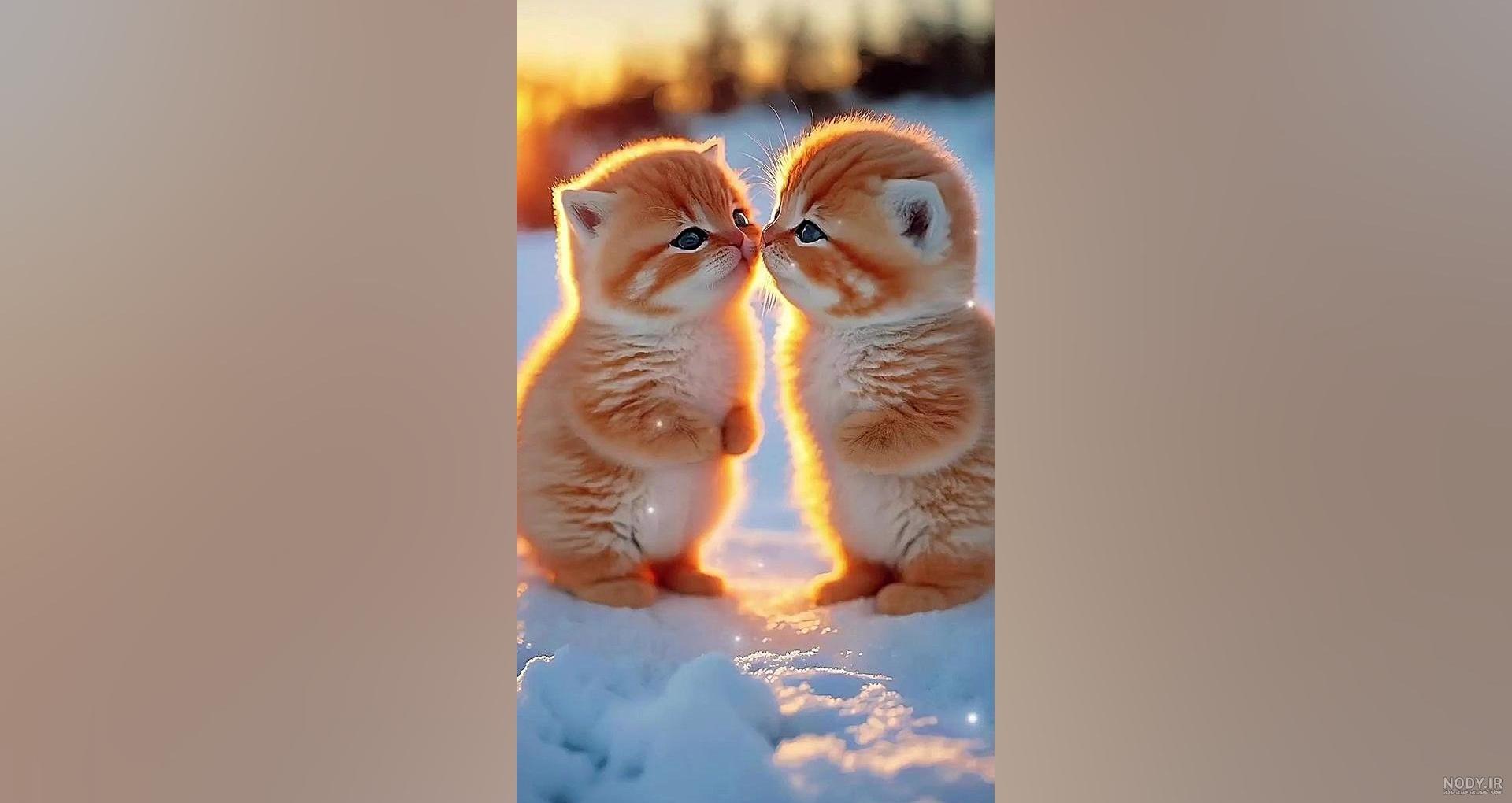 عکس برای صفحه گوشی - تــــــــوپ تـــــــــاپ عکس برای صفحه گوشی - تــــــــوپ تـــــــــاپ