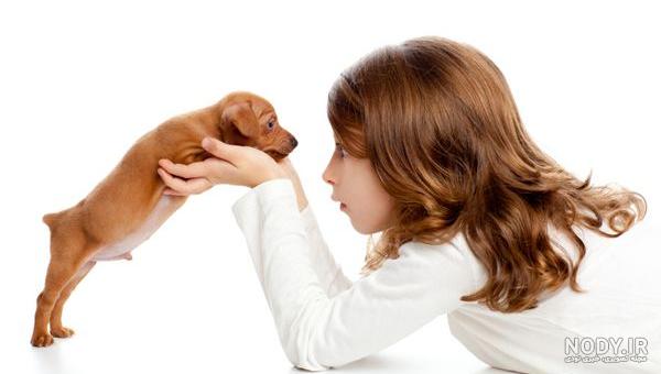 عکس سگ از نژاد های مختلف (هاسکی، ژرمن، پشمالو) - ستاره
