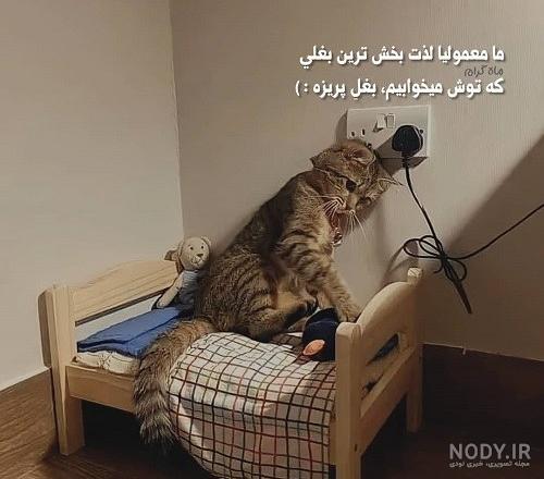 عکس نوشته سینگل بودن - تــــــــوپ تـــــــــاپ