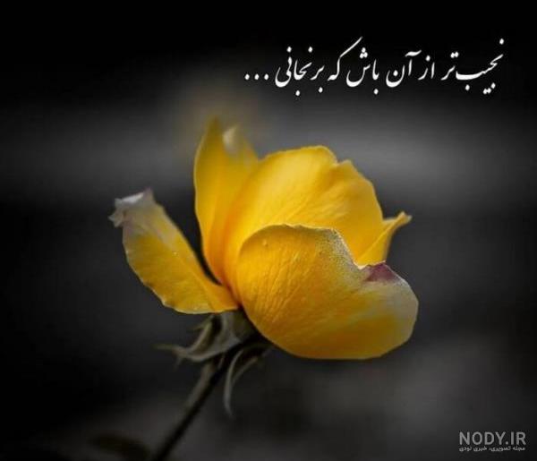 عکس وضعیت من | عکس با نوشته برای وضعیت واتساپ | عکس معنی دار برای وضعیت واتساپ عکس وضعیت من | عکس با نوشته برای وضعیت واتساپ | عکس معنی دار برای وضعیت واتساپ