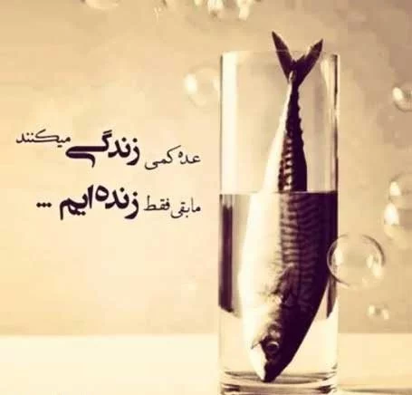 عکس پروفایل فلسفی | 110 عکس نوشته جملات سنگین و تیکه دار خفن • مجله تصویر  زندگی