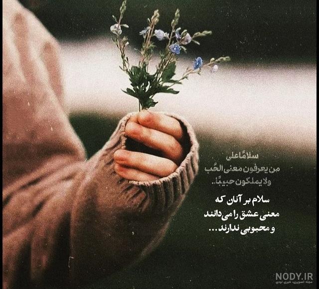 عکس پروفایل گل | مجموعه 120 عکس گل زیبا و با کیفیت HD - دلبرانه عکس پروفایل گل | مجموعه 120 عکس گل زیبا و با کیفیت HD - دلبرانه