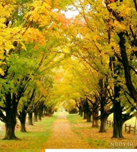 عکس پس زمینه از طبیعت زیبا