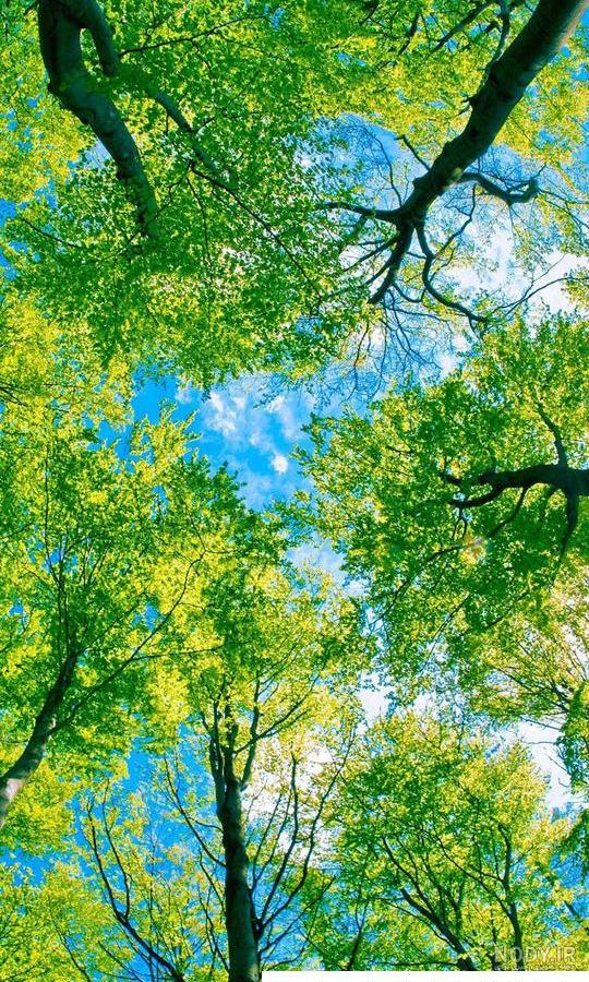عکس پس زمینه زیبا گوشی