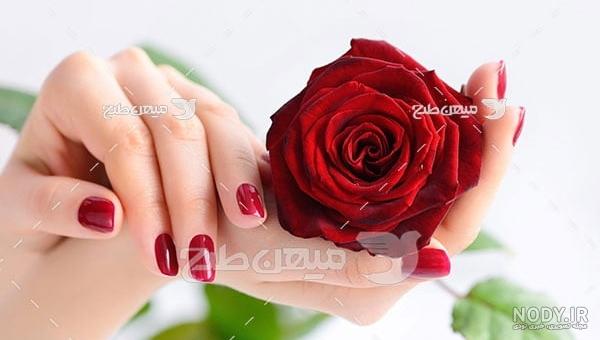 عکس گل برای پروفایل در دست دختر - عکس نودی