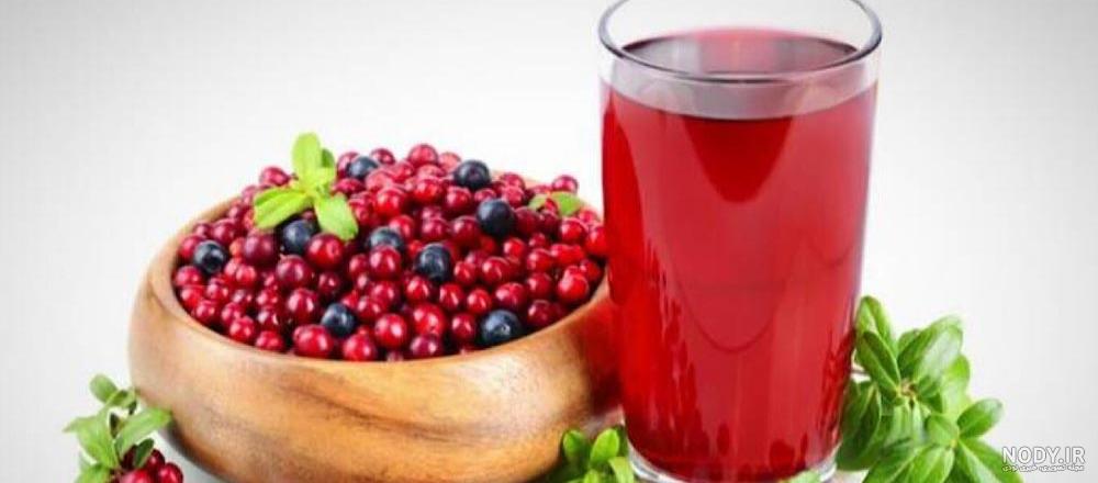 قیمت و خرید آب زرشک کوهی یک کیلویی با کیفیت عالی