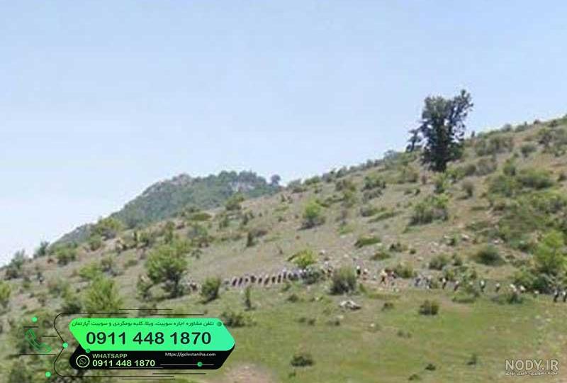 لذت غذا‌های سنتی با سبزی‌های کوهی/ عطر گیاهان خوراکی بر سر سفره بهاری  لرستانی ها پیچید - خبر افلاک | خبر افلاک