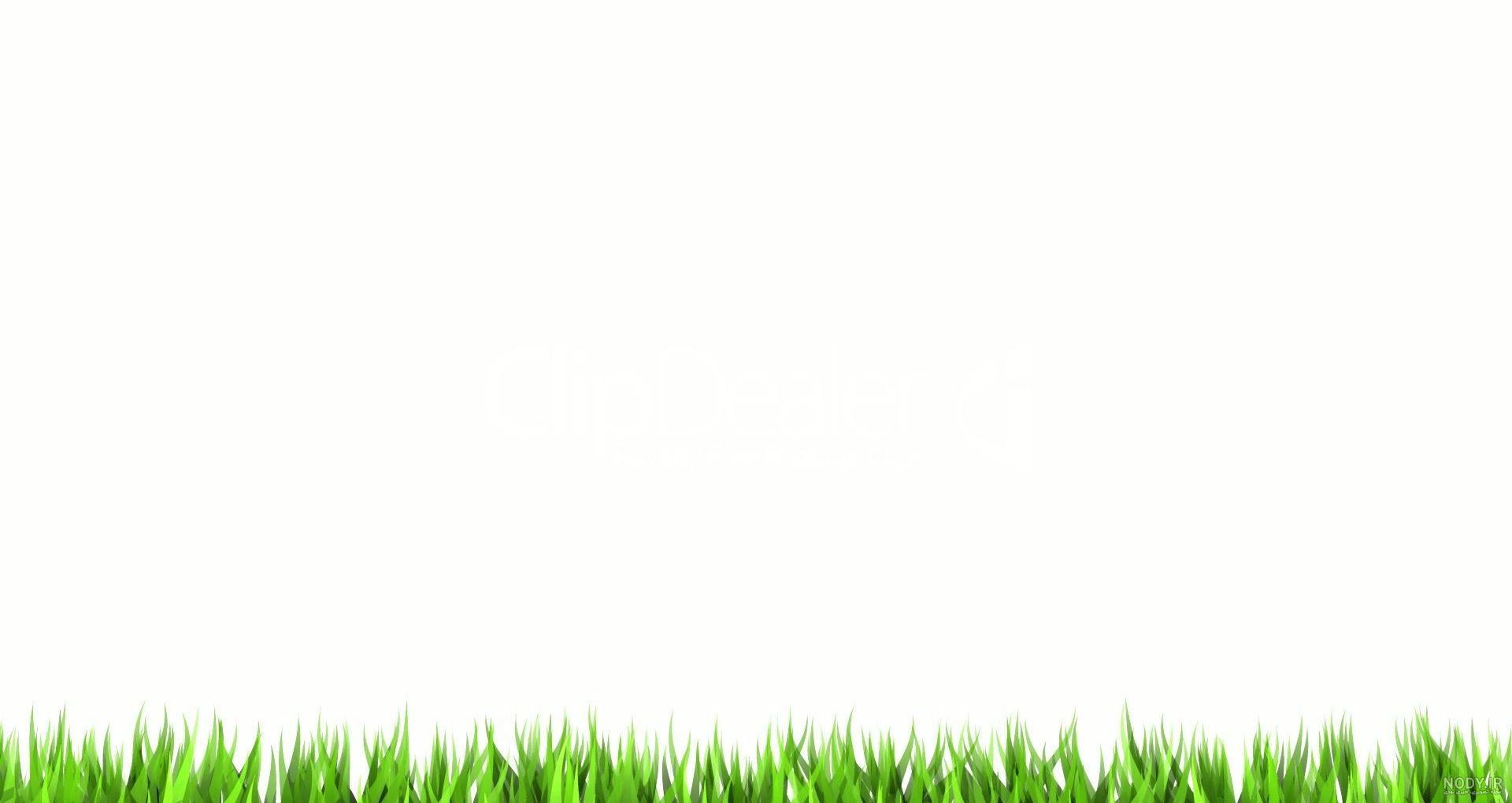 والپیپر سفید موبایل | پس زمینه سفید با کیفیت برای دسکتاپ