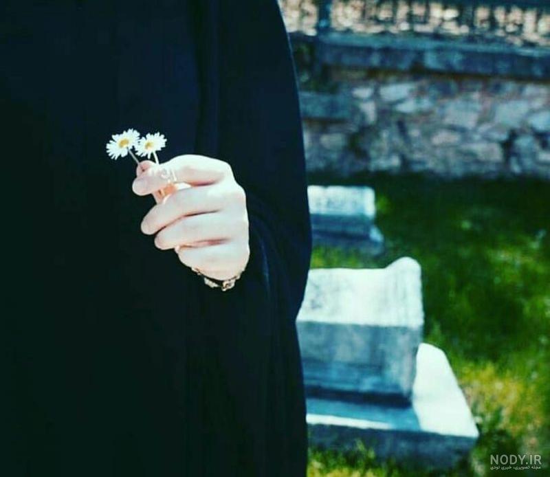 پروفایل دختر با گل سرخ صورتی خوشگل | تاوعکس