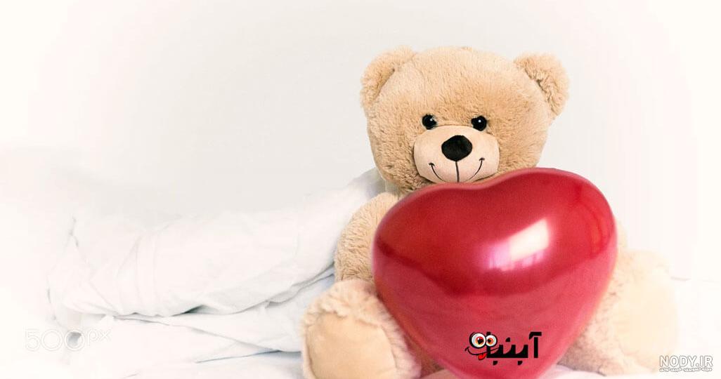 پس زمینه موبایل خرس با کیفیت بالا :: دانلود عکس پس‌زمینه
