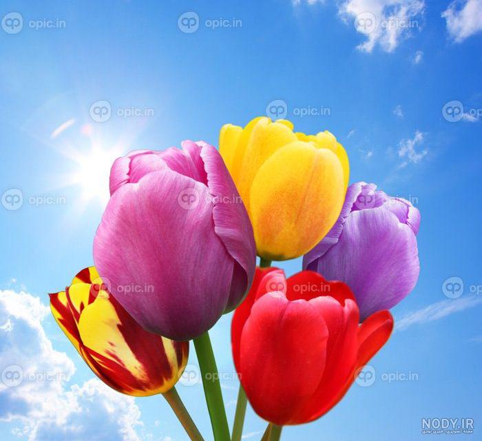 23 عکس های زیبا و فانتزی پس زمینه برای موبایل 23 عکس های زیبا و فانتزی پس زمینه برای موبایل