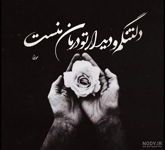 140 عکس گل🌺دانلود مجموعه عکس گل زیبا جدید با کیفیت بالا
