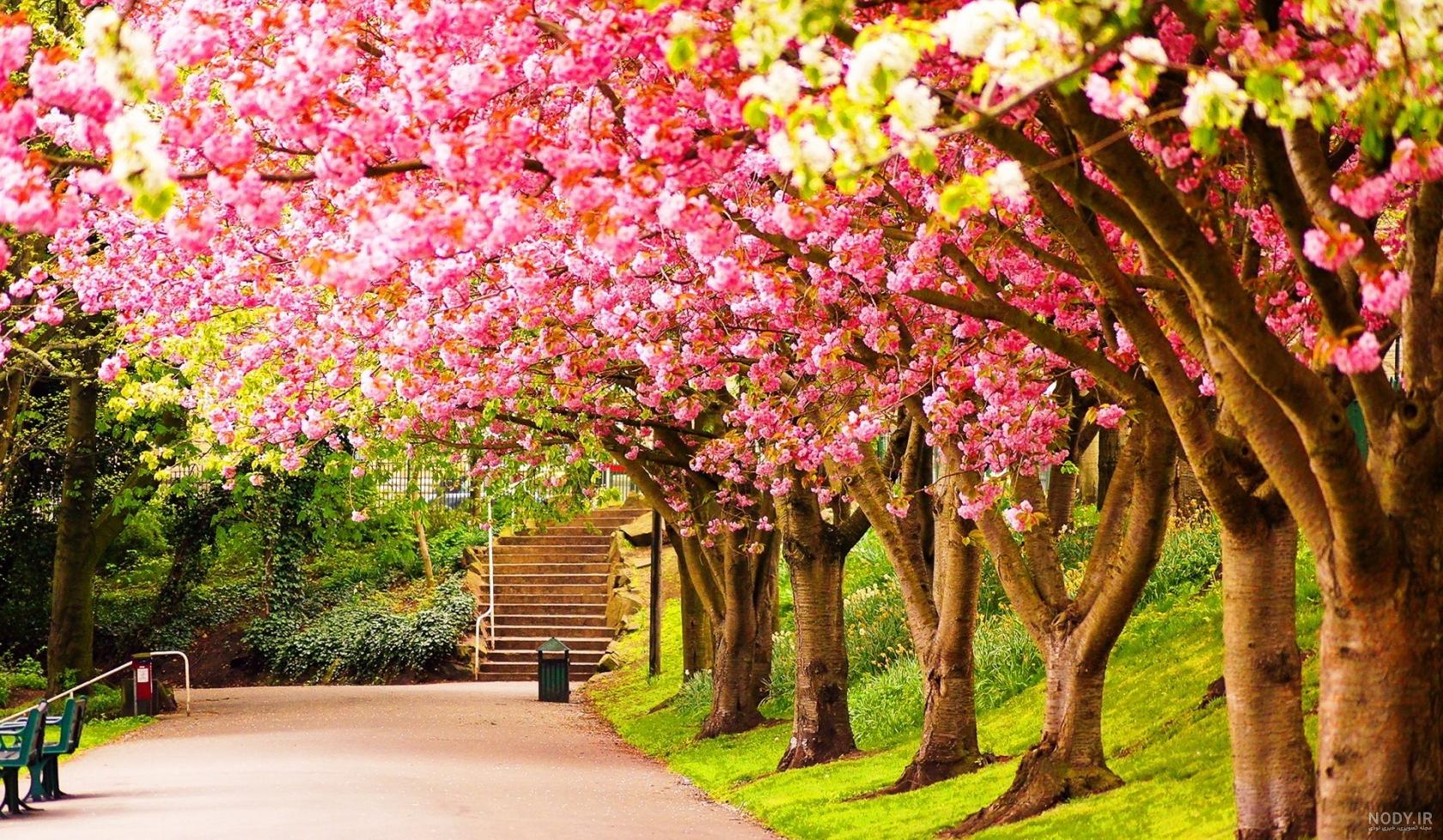تصاویر والپیپر زیبا برای دسکتاپ و پس زمینه موبایل | جدول یاب تصاویر والپیپر زیبا برای دسکتاپ و پس زمینه موبایل | جدول یاب