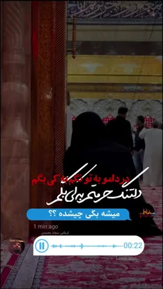 دانلود نماهنگ دلتنگ حرمتم از صادق اویسی | MP3 با کیفیت اصلی