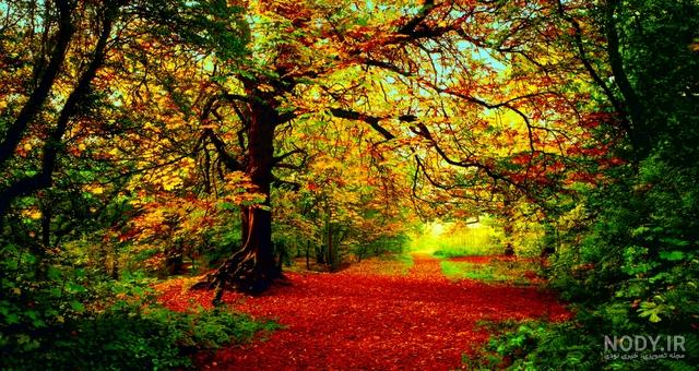 دانلود 35 والپیپر فول اچ دی برای کامپیوتر رایگان - پی اس دی فا