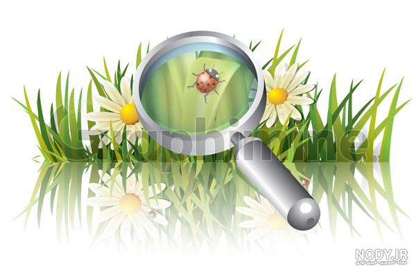 عکس آیکون ذره بین عکس آیکون ذره بین
