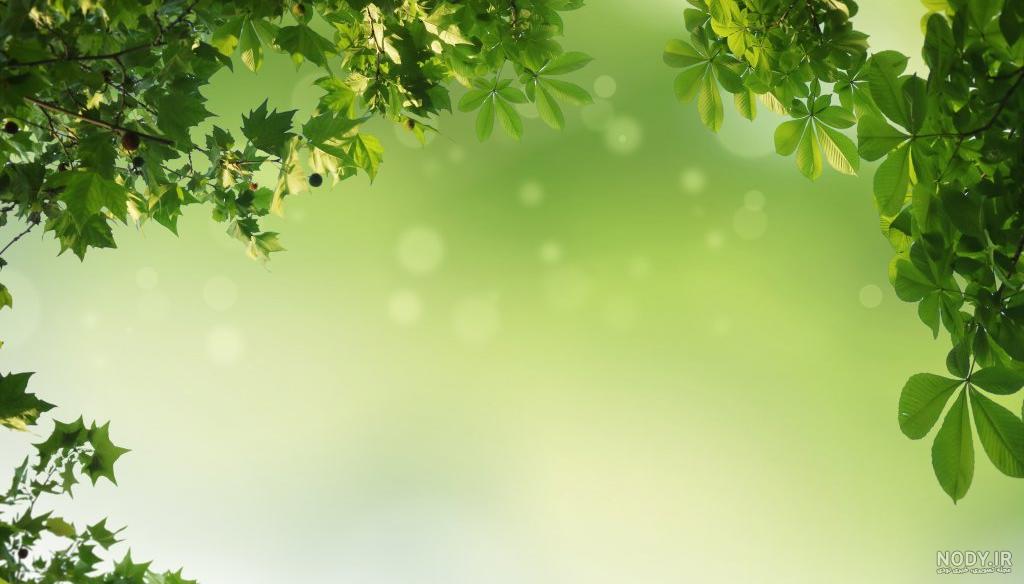 عکس با کیفیت طبیعت برای پس زمینه کامپیوتر