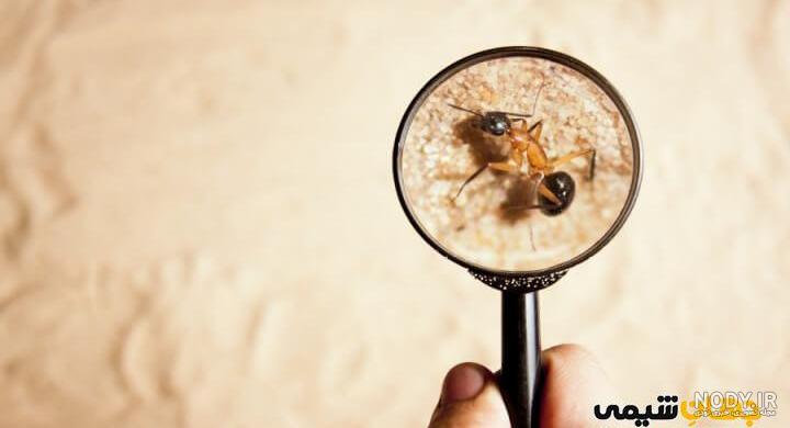 عکس دوربری لوگو آیکون ذره بین عکس دوربری لوگو آیکون ذره بین