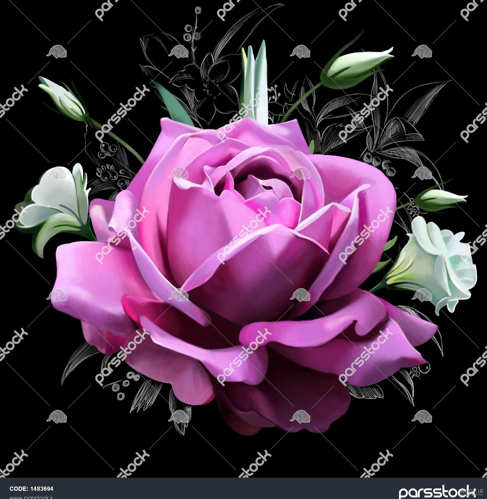عکس زمینه گوشی گل - عکس نودی