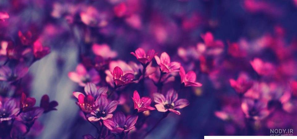 عکس صفحه زمینه لبتاب عکس صفحه زمینه لبتاب