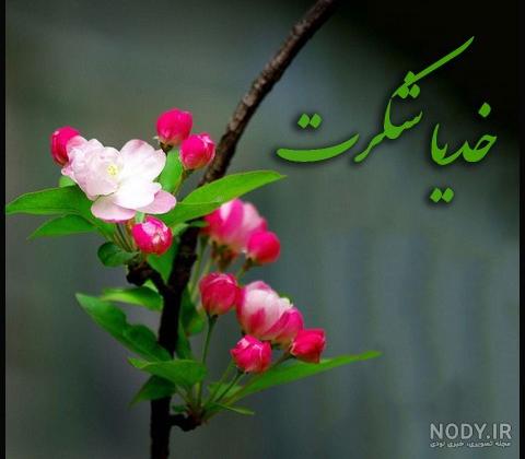 عکس نوشته های زیبای خدایا شکرت برای پروفایل و استوری (2) - تــــــــوپ تـــــــــاپ عکس نوشته های زیبای خدایا شکرت برای پروفایل و استوری (2) - تــــــــوپ تـــــــــاپ