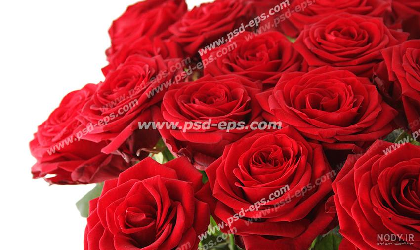 عکس پس زمینه قرمز مشکی با کیفیت بالا عکس پس زمینه قرمز مشکی با کیفیت بالا