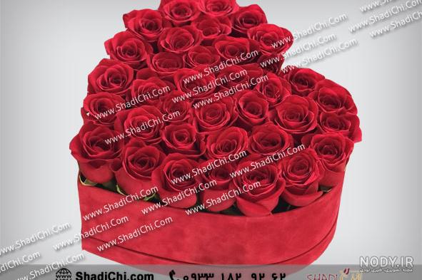 عکس گل رز قرمز عاشقانه + عکس گل رز قرمز با زمینه مشکی عکس گل رز قرمز عاشقانه + عکس گل رز قرمز با زمینه مشکی
