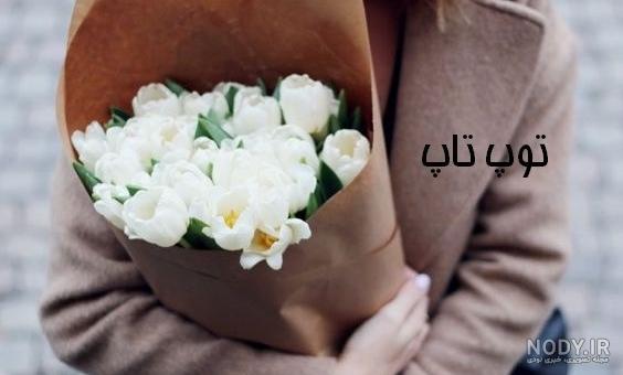 140 عکس گل🌺دانلود مجموعه عکس گل زیبا جدید با کیفیت بالا 140 عکس گل🌺دانلود مجموعه عکس گل زیبا جدید با کیفیت بالا