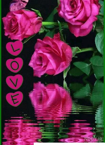 دانلود برنامه Flower Rose Live Wallpaper Gif برای اندروید | مایکت دانلود برنامه Flower Rose Live Wallpaper Gif برای اندروید | مایکت