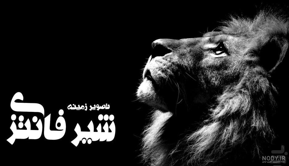 دانلود برنامه Lion Wallpapers برای اندروید | مایکت دانلود برنامه Lion Wallpapers برای اندروید | مایکت