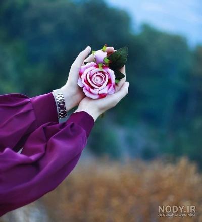 عکس دسته گل دخترانه - عکس نودی عکس دسته گل دخترانه - عکس نودی