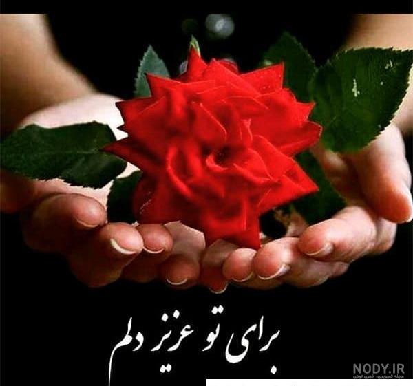 پس زمینه متحرک سه بعدی از گل های رنگارنگ mrmiix.com پس زمینه متحرک سه بعدی از گل های رنگارنگ mrmiix.com