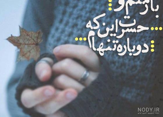 گالری اینفو | یاسر ب.راد