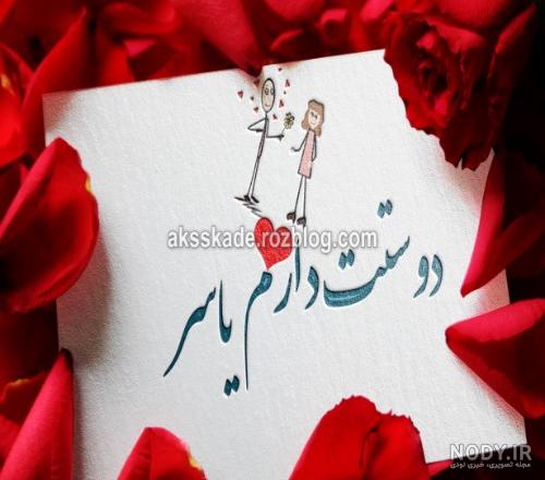 گالری اینفو | یاسر رجبعلی