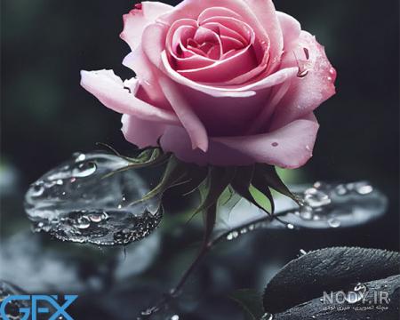 گالری زیباترین عکس های دختر با گل برای پروفایل (2019) - تــــــــوپ تـــــــــاپ گالری زیباترین عکس های دختر با گل برای پروفایل (2019) - تــــــــوپ تـــــــــاپ