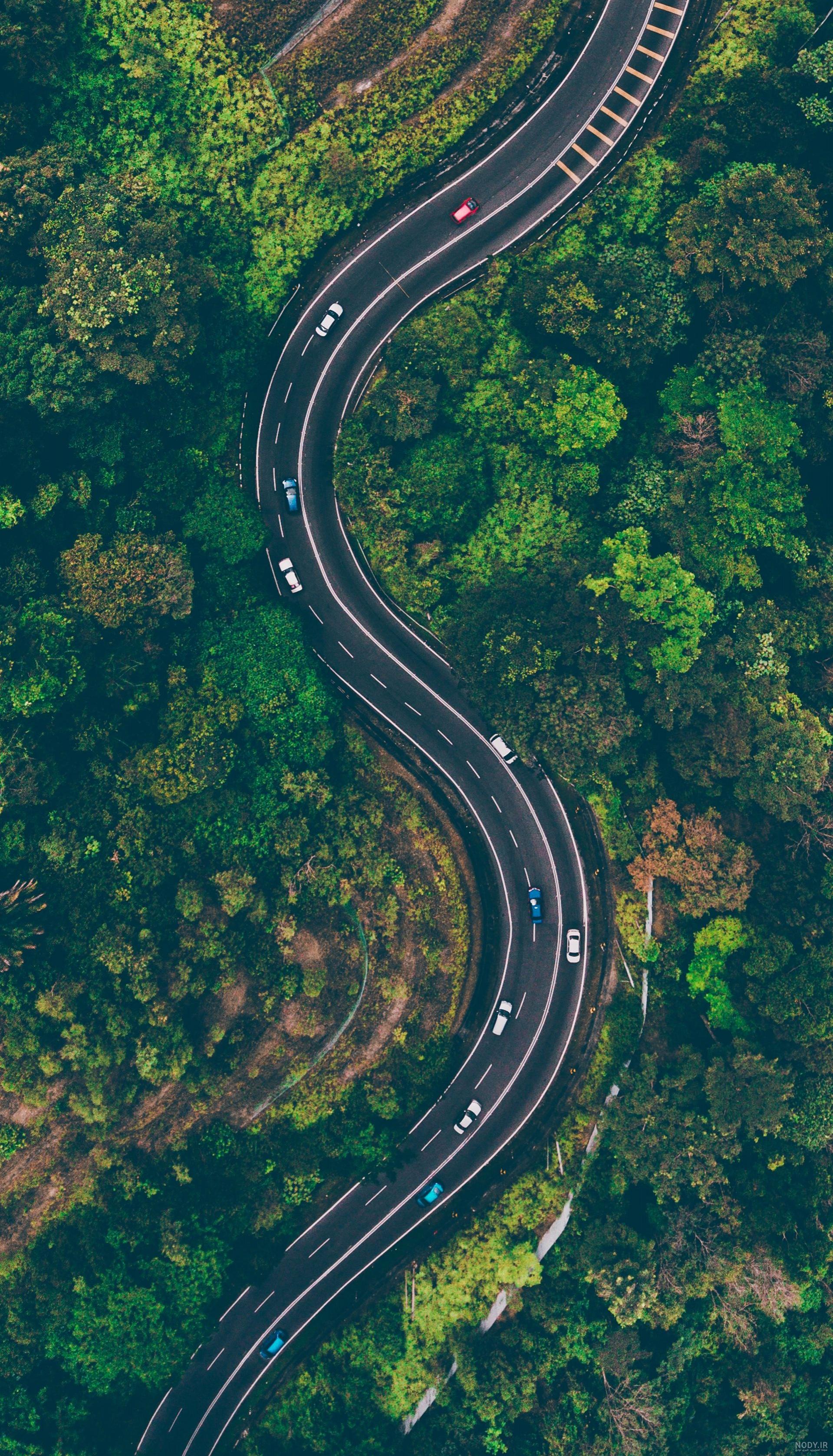  عکس جاده جنگلی با کیفیت بالا