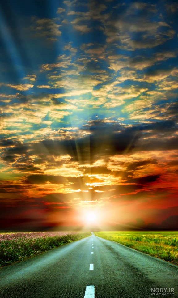  عکس جاده جنگلی با کیفیت بالا