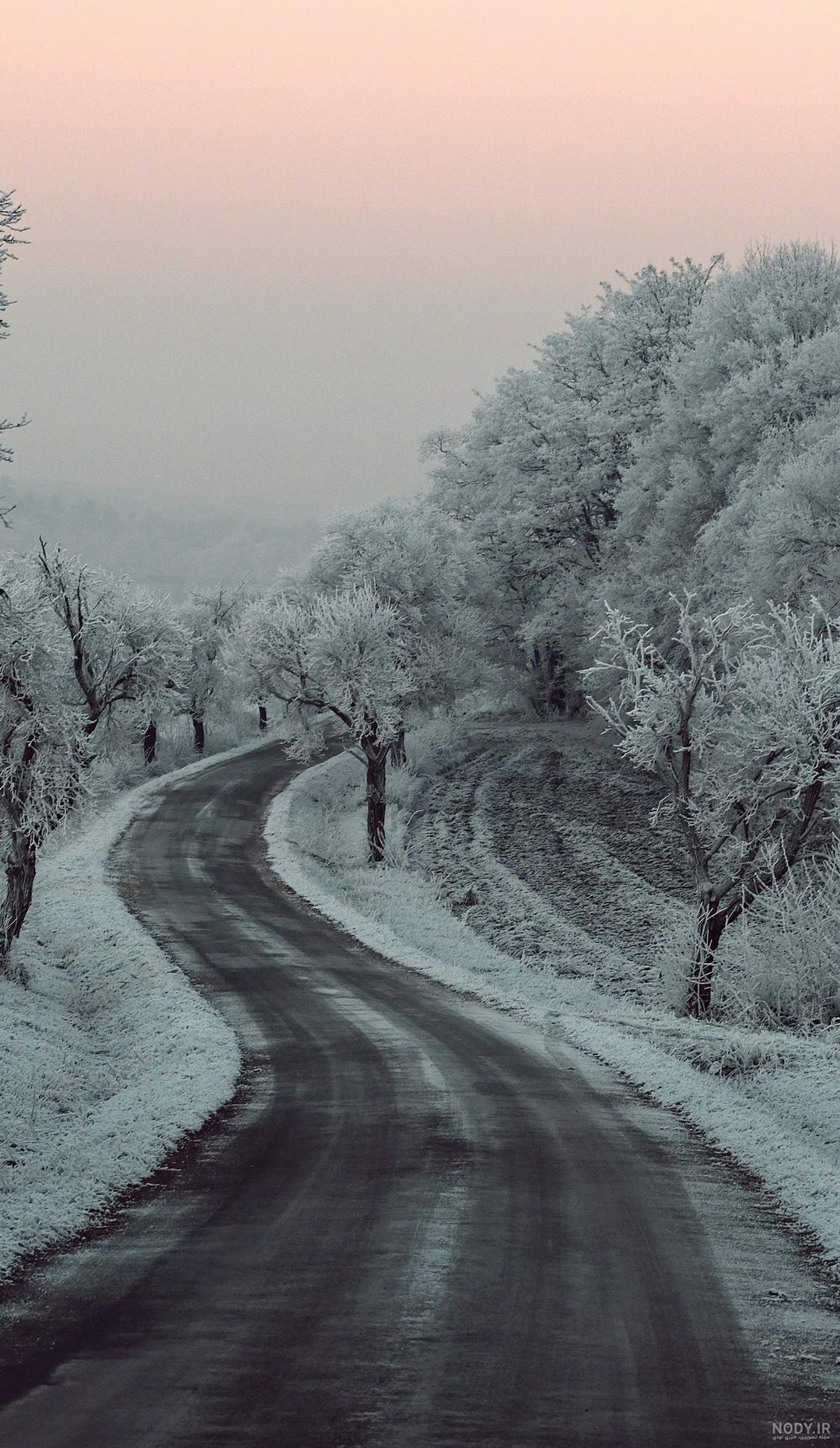  عکس جاده جنگلی با کیفیت بالا