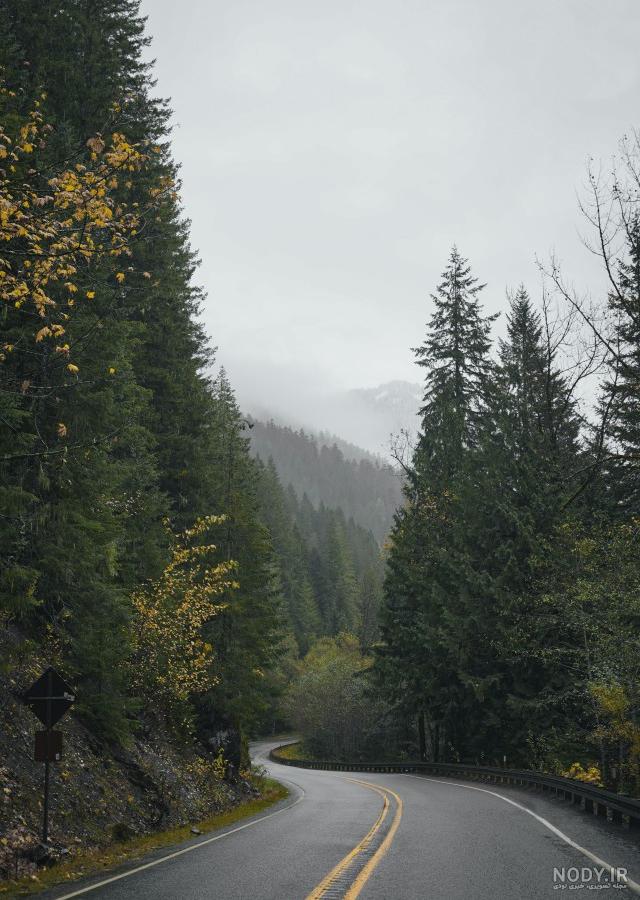  عکس جاده جنگلی با کیفیت بالا
